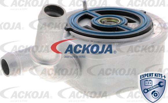 ACKOJA A32-60-0002 — Chłodnica oleju, olej silnikowy