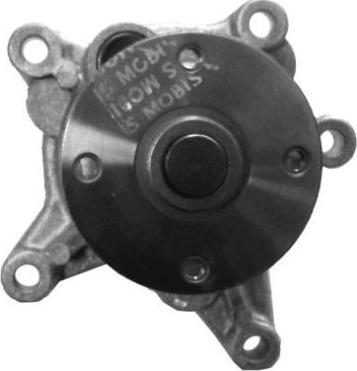AISIN WPY-025 — Pompa wodna