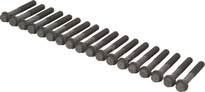 AMC 258519 — Zestaw śrub głowicy cylindrów