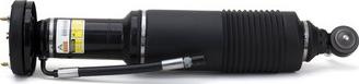 Arnott SK-2470 - Moduł powietrzny
