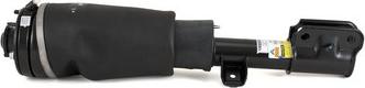 Arnott AS-2517 - MIECH ZAWIESZ.-P-RANGE ROVER 05-09 -L-