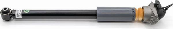 Arnott MR-5743 - Amortyzator zawieszenia
