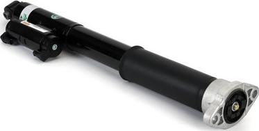 Arnott SK-3389 - Amortyzator zawieszenia
