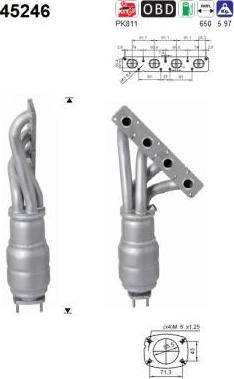 AS 45246 — Katalizator