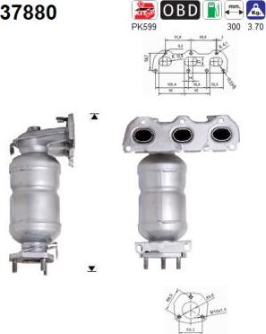 AS 37880 — Katalizator