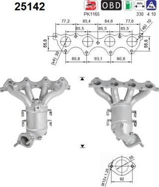 AS 25142 — Katalizator