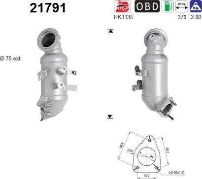 AS 21791 — Katalizator