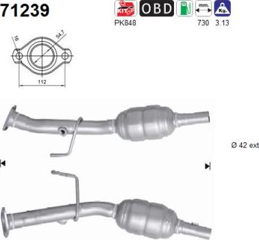 AS 71239 — Katalizator