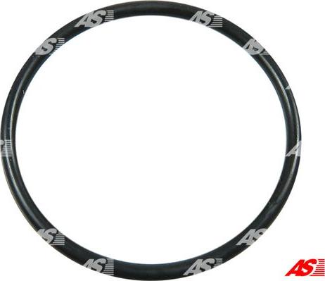AS-PL ARS2011 - ORING ALTERNATORA POD VACUUM