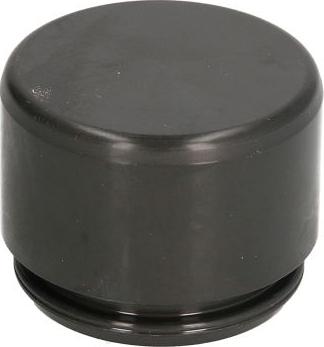 AUTOFREN SEINSA D025255 - TŁOCZEK HAM. DB P. W163 01-05