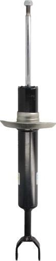 BILSTEIN 22-031167 — Amortyzator