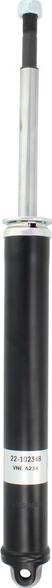 BILSTEIN 22-102348 — Amortyzator