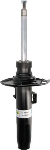 BILSTEIN 22-305053 — Amortyzator