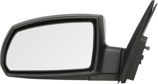 BLIC 5402-53-2001549P — Lusterko zewnętrzne