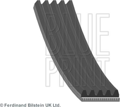 Blue Print AD05R1682 — Pasek klinowy wielorowkowy