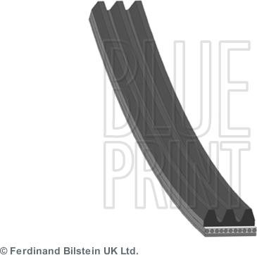 Blue Print AD03S842 — Pasek klinowy wielorowkowy