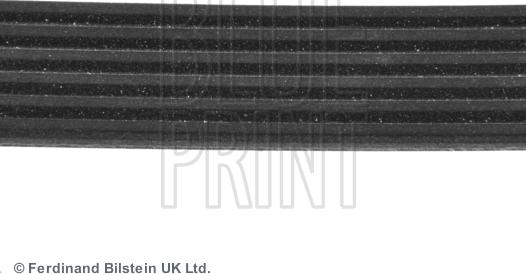 Blue Print ADA109601 - Pasek klinowy wielorowkowy