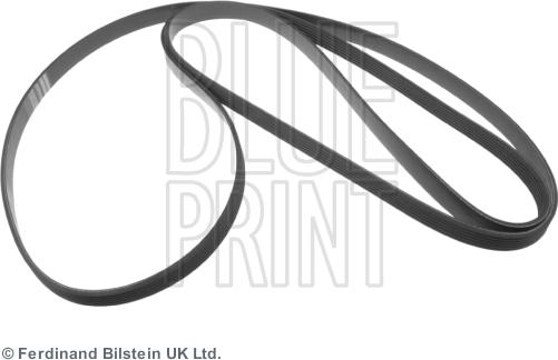 Blue Print ADA109601 - Pasek klinowy wielorowkowy