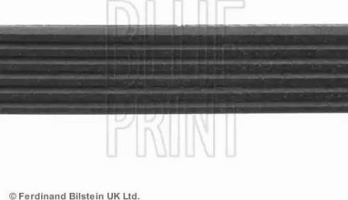 Blue Print ADG09616 - Pasek klinowy wielorowkowy