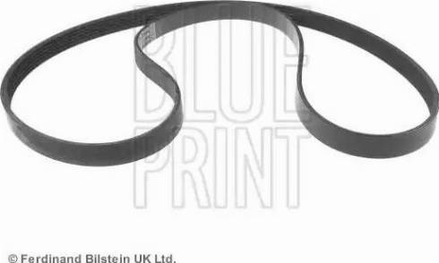 Blue Print ADG09616 - Pasek klinowy wielorowkowy