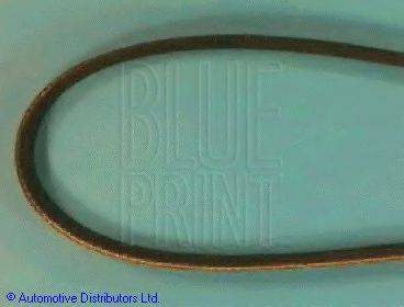 Blue Print ADS79605 - Pasek klinowy wielorowkowy