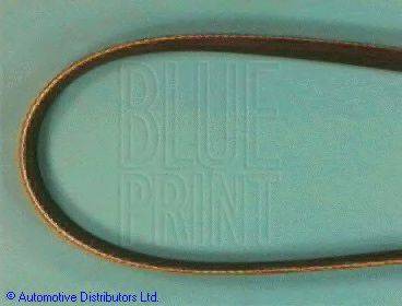 Blue Print ADT39622 - Pasek klinowy wielorowkowy