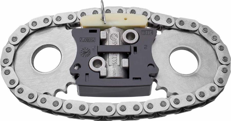 BorgWarner 59007150000 — Zestaw łańcucha rozrządu