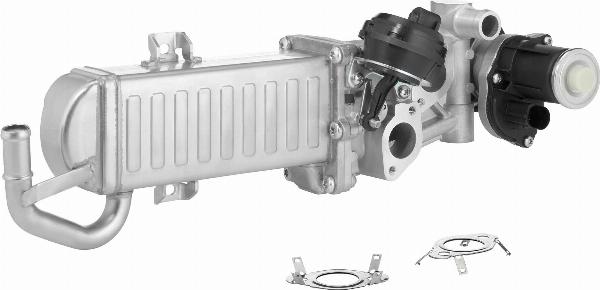 BorgWarner 710861D/1 — Moduł AGR