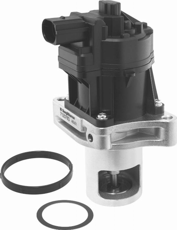 BorgWarner 712076D — Zawór AGR