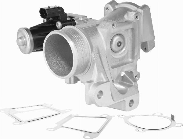 BorgWarner 729005D — Zawór AGR