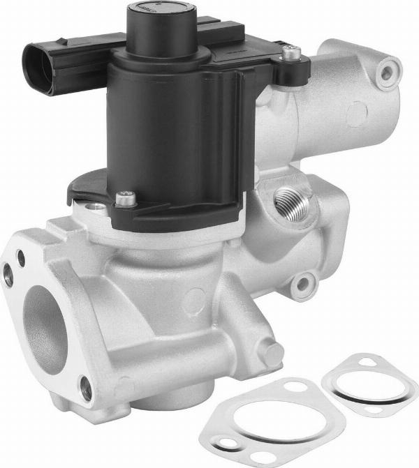 BorgWarner 729020D — Zawór AGR