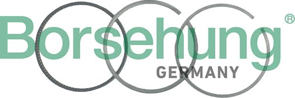 Borsehung B19043 — Zestaw pierścieni tłokowych