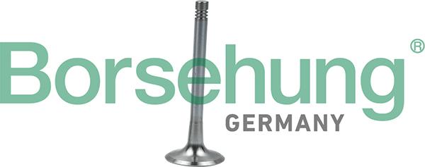 Borsehung B19008 - ZAWÓR WYDECH. OCT II.SUP II.YETI 1.8-2.0