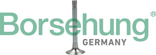 Borsehung B19003 - ZAWÓR WYD. VW 1.4TDI-1.6TDI 16V