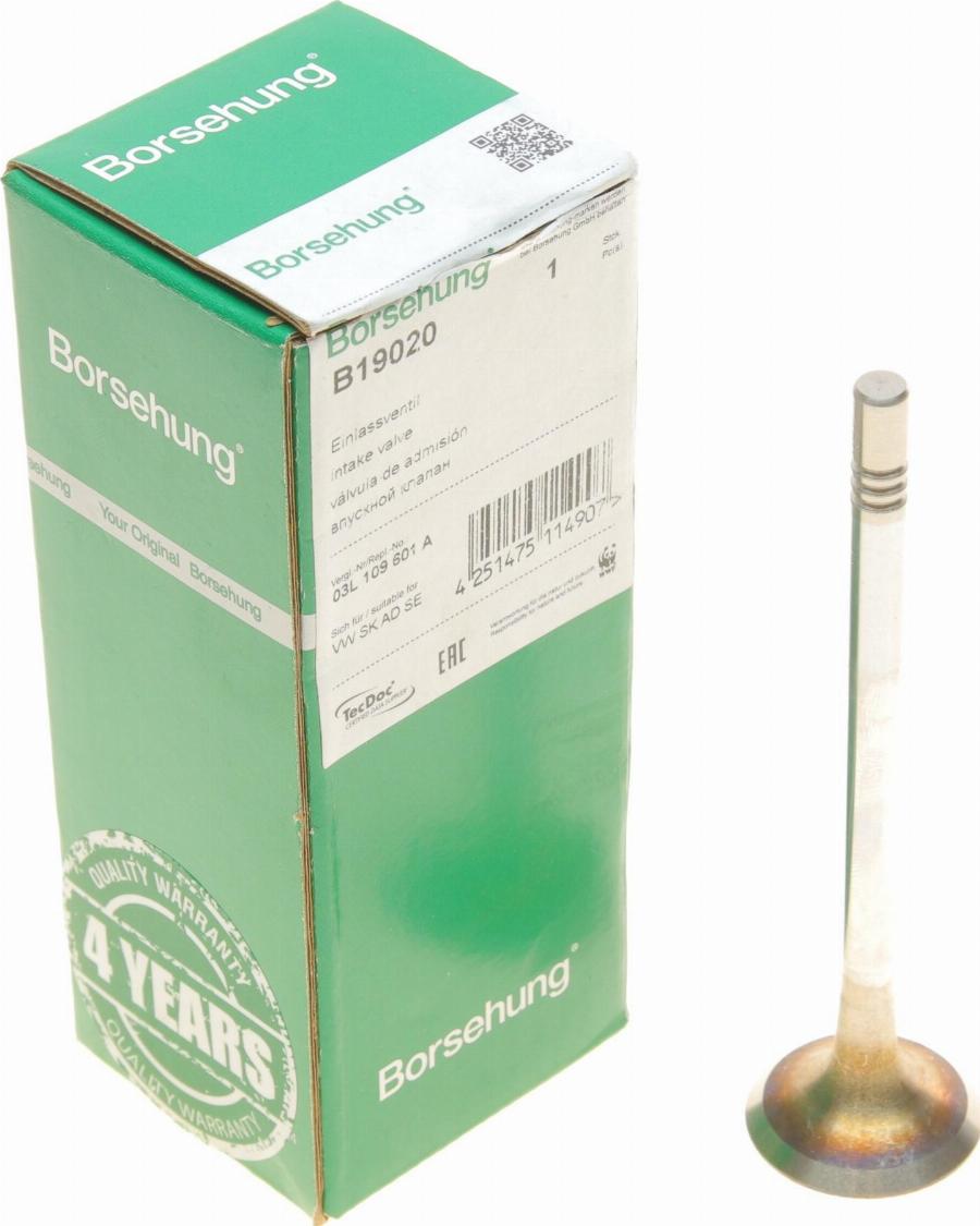 Borsehung B19020 — Zawór dolotowy
