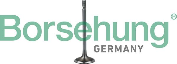 Borsehung B19023 - ZAWÓR SS. VW 2.0TDI 16V