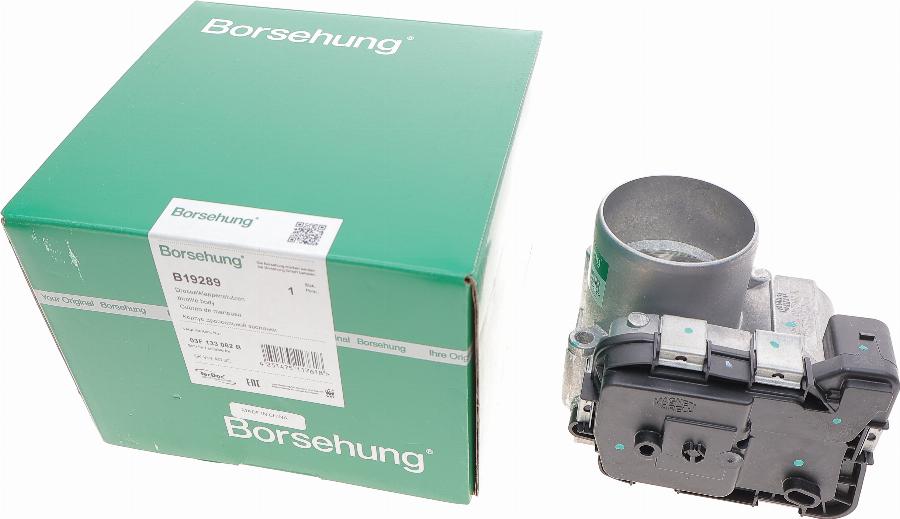 Borsehung B19289 - PRZEPUSTNICA VW GOLF 1.2TSI 12-