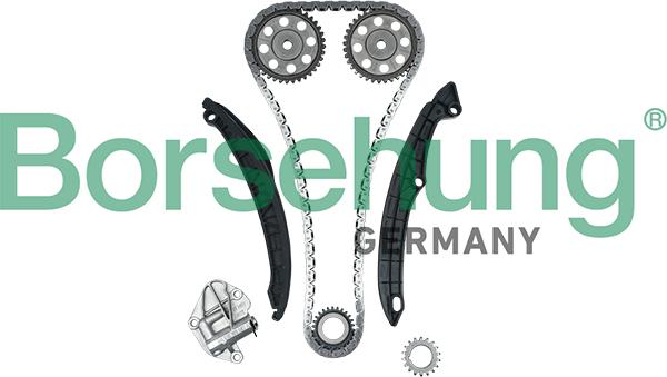 Borsehung B16296 - ZESTAW ŁAŃCUCHA ROZRZĄDU VW 1.2 FSI Z KOŁAMI