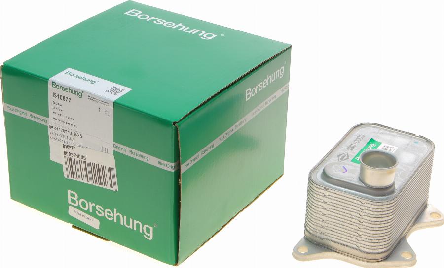 Borsehung B10877 — Chłodnica oleju, olej silnikowy