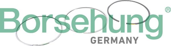 Borsehung B10364 — Zestaw pierścieni tłokowych