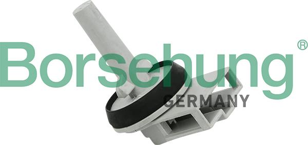 Borsehung B11447 — Czujnik, temperatura wewnętrzna