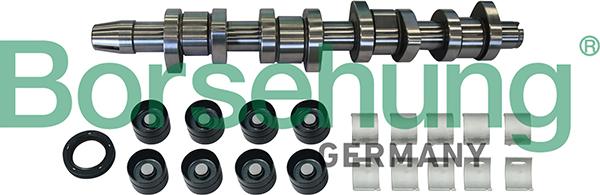 Borsehung B11307 - ZESTAW WAŁKA ROZRZĄDU VW GOLF 2.0TDI 04-