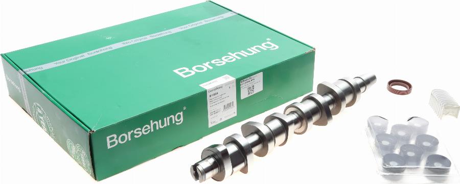 Borsehung B18664 — Zestaw wału rozrządu