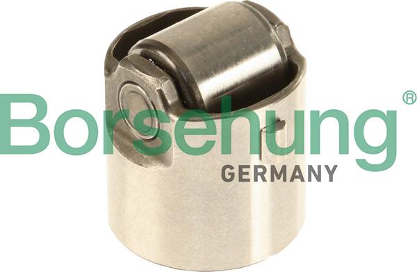 Borsehung B18195 - POPYCHACZ POMPY WTR. VW TSI 04-