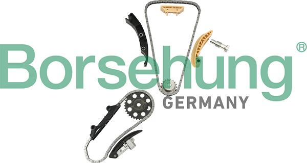 Borsehung B18846 - ZESTAW ŁAŃCUCHA ROZRZĄDU VW 3.2-3.6FSI 06- AUDI-PORSCHE