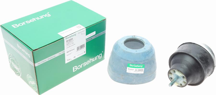 Borsehung B12233 — Łożyskowanie silnika