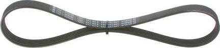 BOSCH 1 987 946 021 - Pasek wielorowkowy