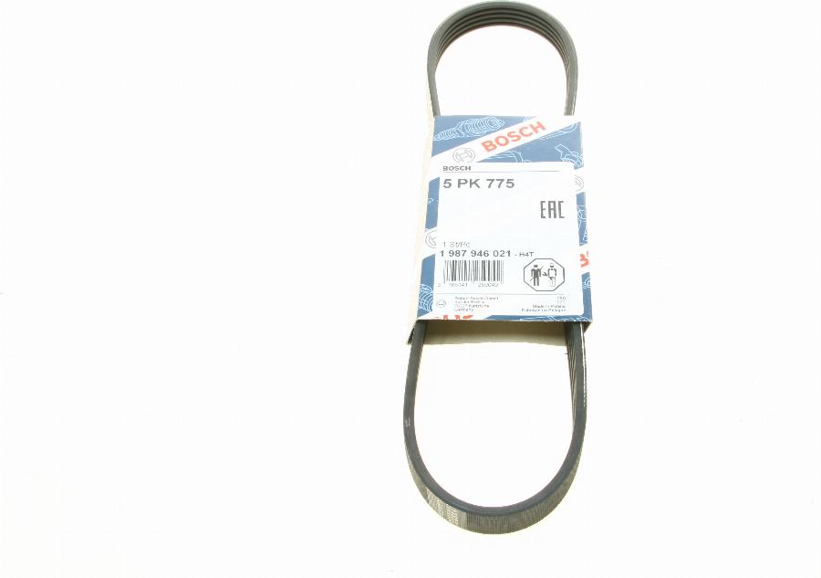 BOSCH 1 987 946 021 - Pasek wielorowkowy