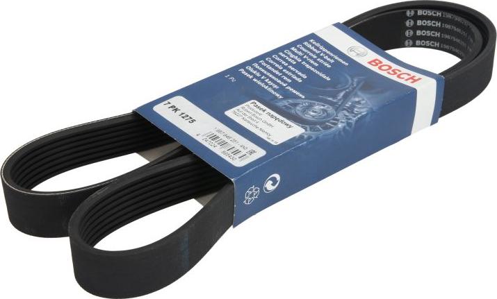 BOSCH 1 987 946 251 — Pasek klinowy wielorowkowy