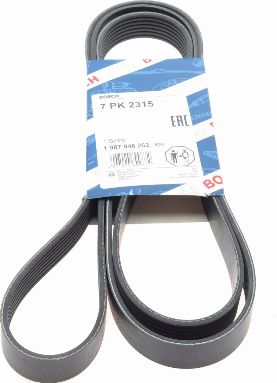BOSCH 1 987 946 262 — Pasek klinowy wielorowkowy